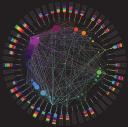 Connections